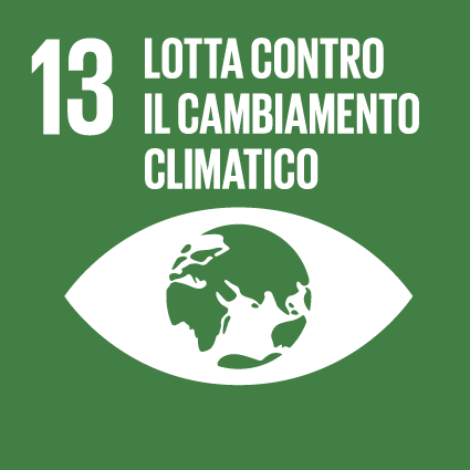 13: Lotta contro il cambiamento climatico