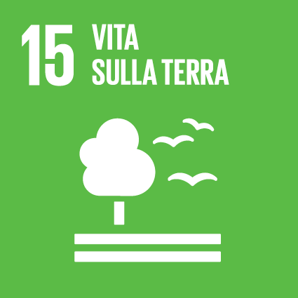 15: Vita sulla Terra