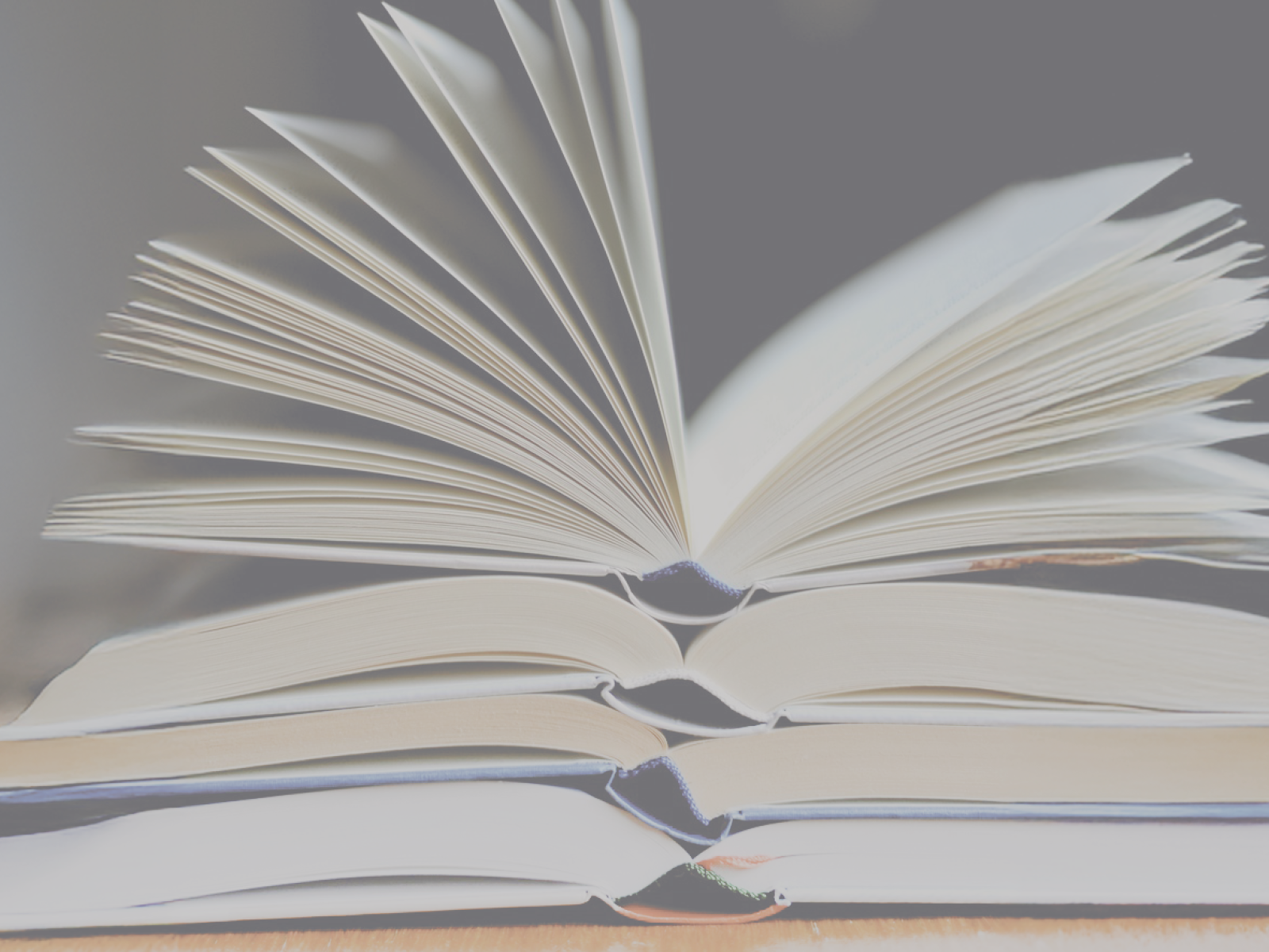 Libro Book Party