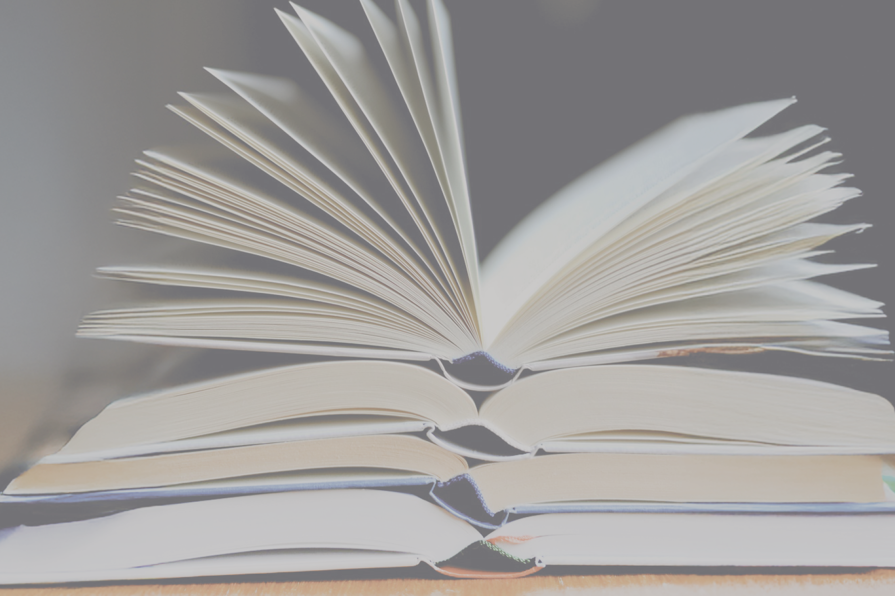 Libro Book Party